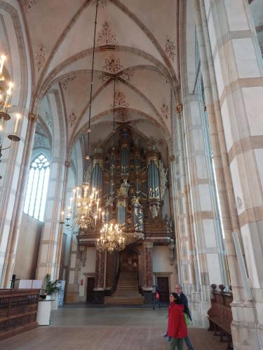 Amsterdam-Arnhem-29-juli-5-aug-2023-116