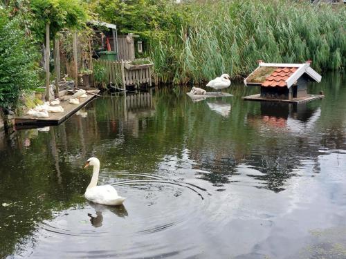 Amsterdam-Arnhem-29-juli-5-aug-2023-12