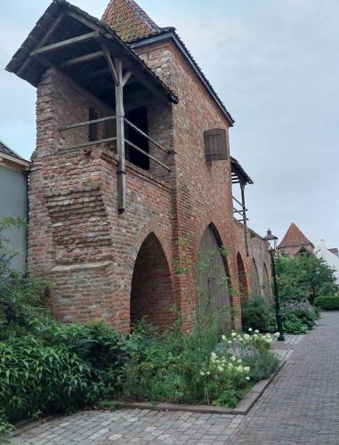 Amsterdam-Arnhem-29-juli-5-aug-2023-134