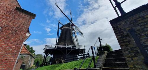 Amsterdam-Arnhem-29-juli-5-aug-2023-215