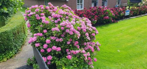 Amsterdam-Arnhem-29-juli-5-aug-2023-234