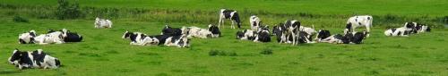 Amsterdam-Arnhem-29-juli-5-aug-2023-252