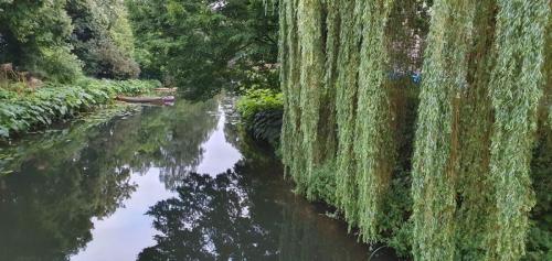 Amsterdam-Arnhem-29-juli-5-aug-2023-263