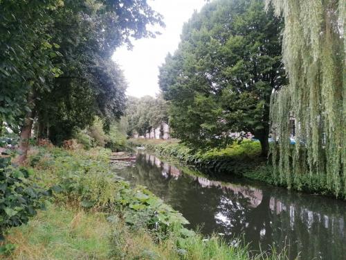 Amsterdam-Arnhem-29-juli-5-aug-2023-265