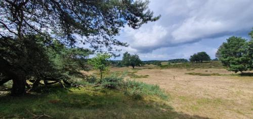 Amsterdam-Arnhem-29-juli-5-aug-2023-272