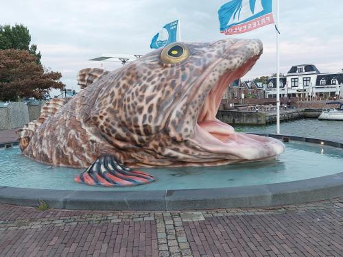 Amsterdam-Arnhem-29-juli-5-aug-2023-80