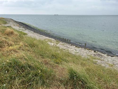 Amst-Bru 24 juni-1 juli 2023