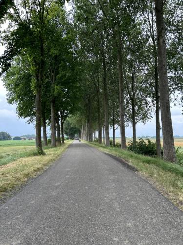 Amst-Bru 24 juni-1 juli 2023