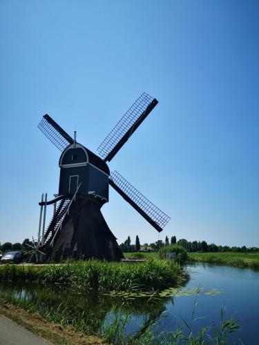 Amst-Bru 24 juni-1 juli 2023