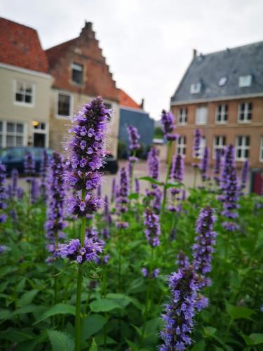 Amst-Bru 24 juni-1 juli 2023