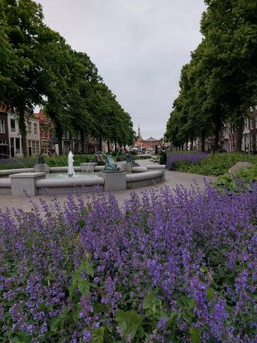 Amsterdam-Brugge 28 May-7 June 2023