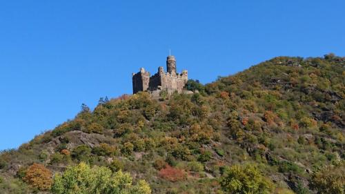 Boppard