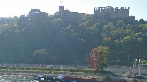 Boppard