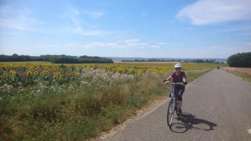 Bourgogne 20-27 juli 2019 (26)