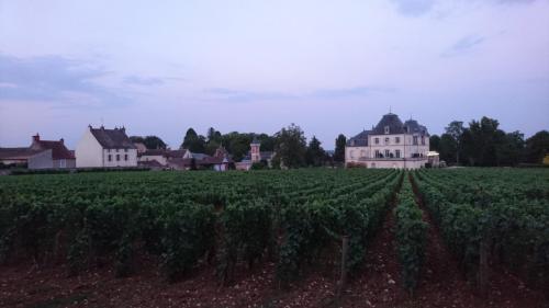 Morvan juli 2018 (130)