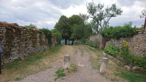 Morvan juli 2018 (184)