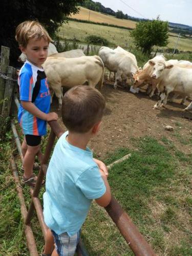 Morvan juli 2018 (51)