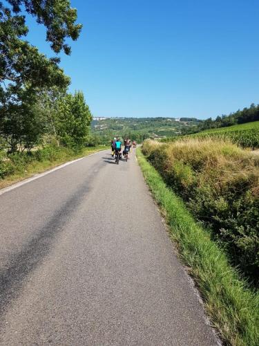 Morvan juli 2018 (58)