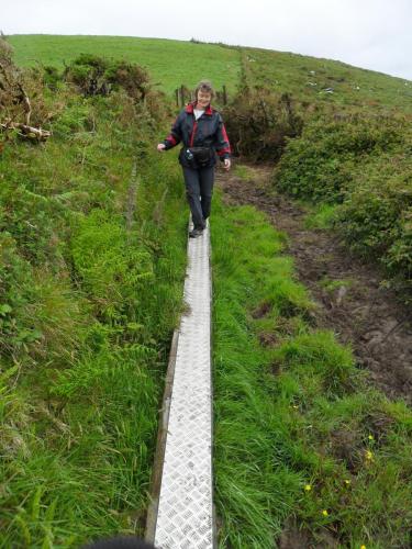 Dingle Way  (105)