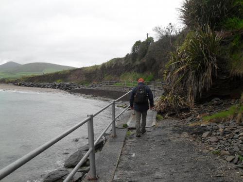 Dingle Way  (107)
