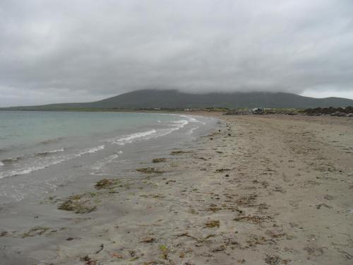 Dingle Way  (109)