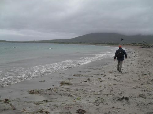 Dingle Way  (110)