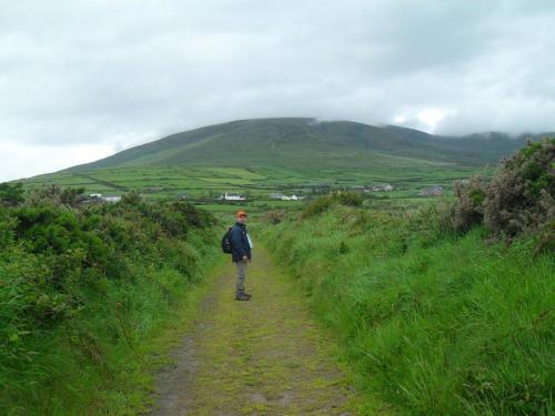 Dingle Way  (112)