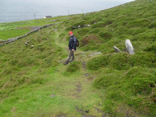 Dingle Way  (118)
