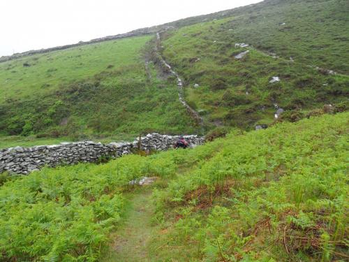 Dingle Way  (119)