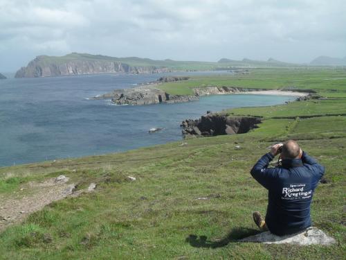 Dingle Way  (134)