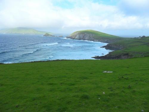 Dingle Way  (168)