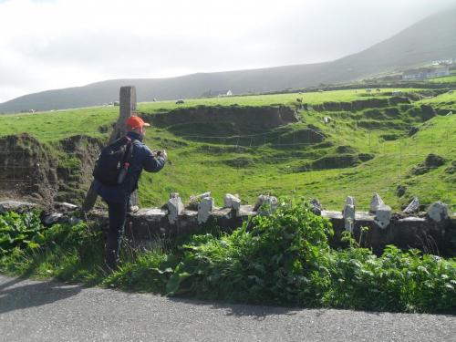 Dingle Way  (174)