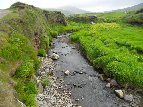 Dingle Way  (179)