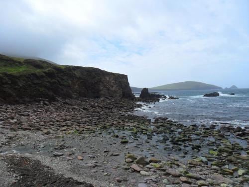 Dingle Way  (180)