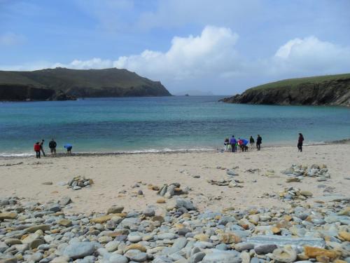 Dingle Way  (186)