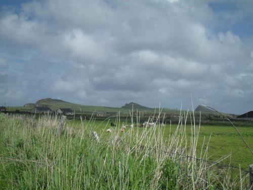Dingle Way  (190)