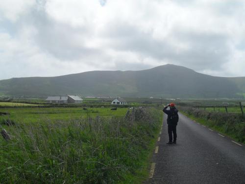 Dingle Way  (191)