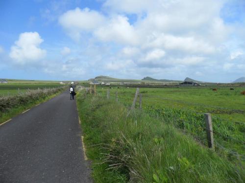 Dingle Way  (192)