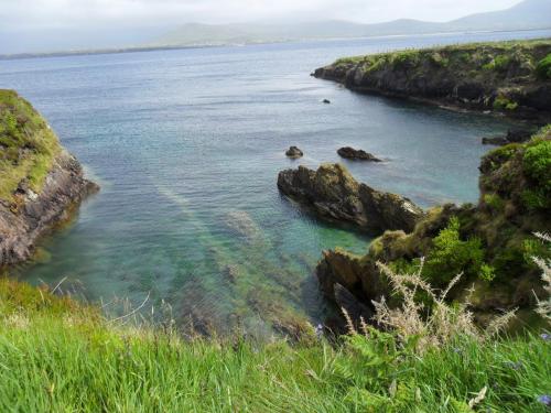 Dingle Way  (195)