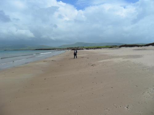 Dingle Way  (202)