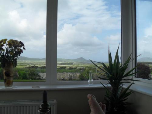 Dingle Way  (208)
