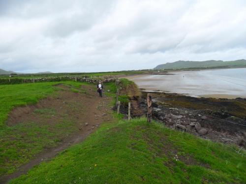 Dingle Way  (214)