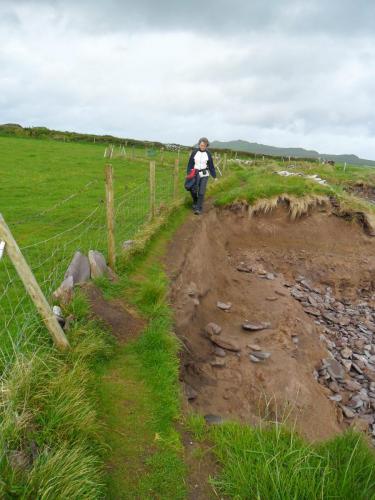 Dingle Way  (216)