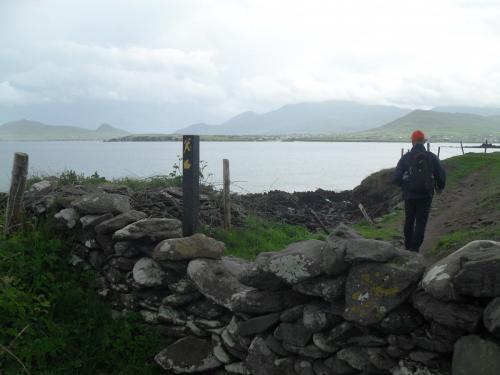 Dingle Way  (219)