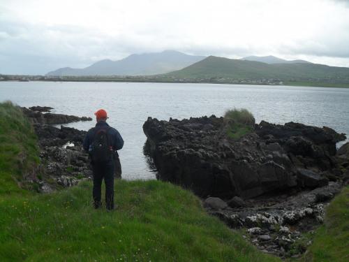 Dingle Way  (220)