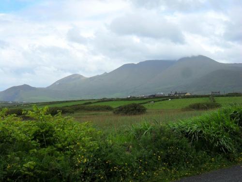 Dingle Way  (231)