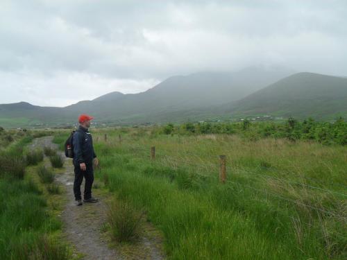 Dingle Way  (233)