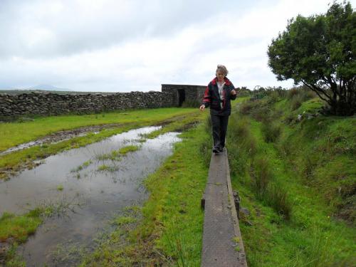 Dingle Way  (234)