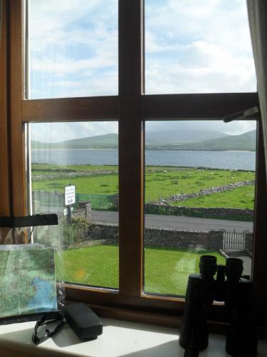 Dingle Way  (238)