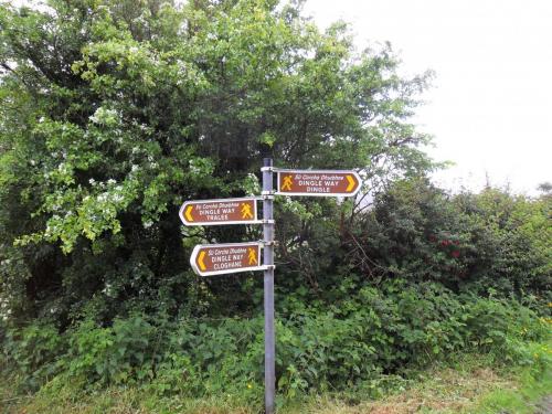 Dingle Way  (30)